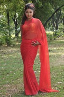 Mona Saree Photos
